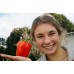 RED CAPSICUM MEDIUM Size Each Whakatane Grown
